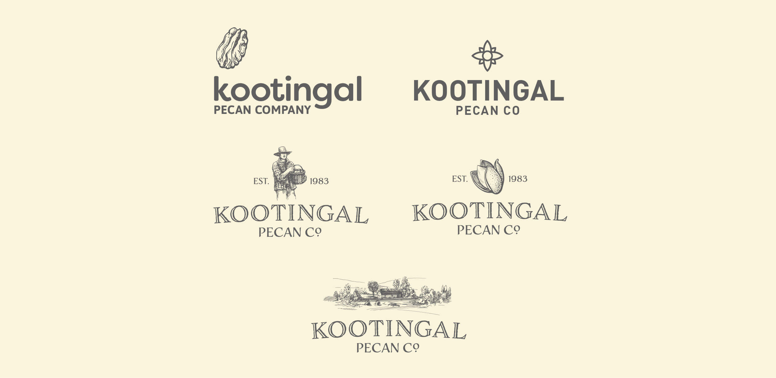 Various logo options for Kootingal Pecan Company